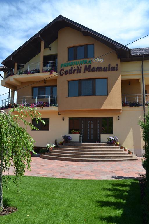 Pensiunea Codrii Mamului Lungesti Exterior foto