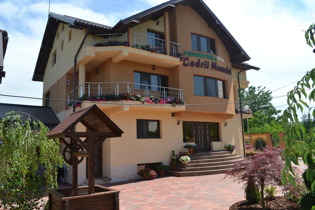 Pensiunea Codrii Mamului Lungesti Exterior foto